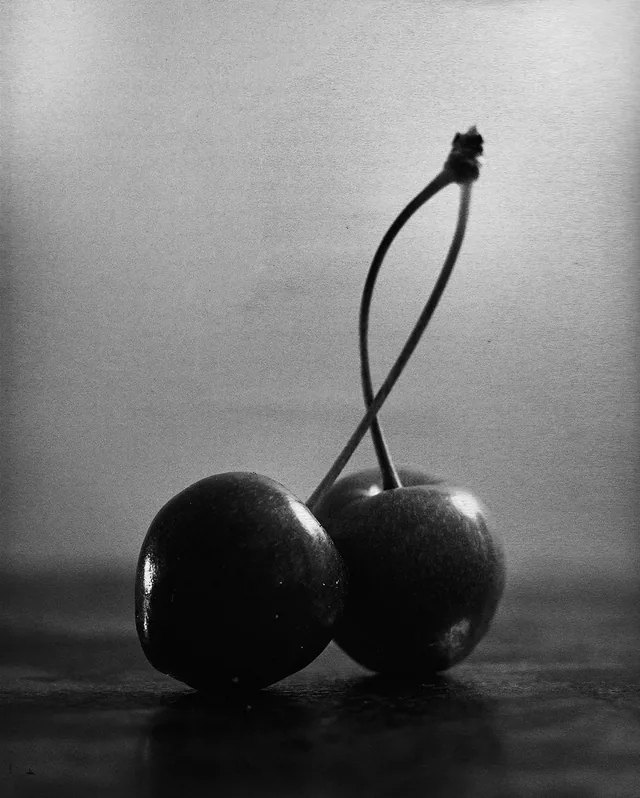Still Life Works 2