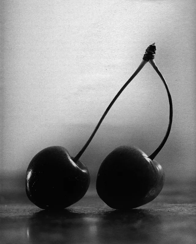 Still Life Works 1