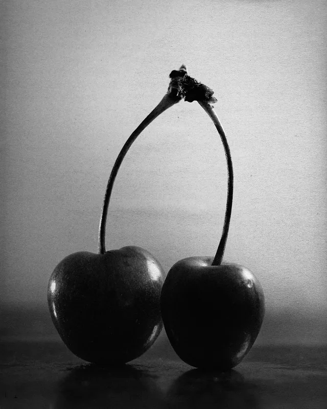 Still Life Works 3